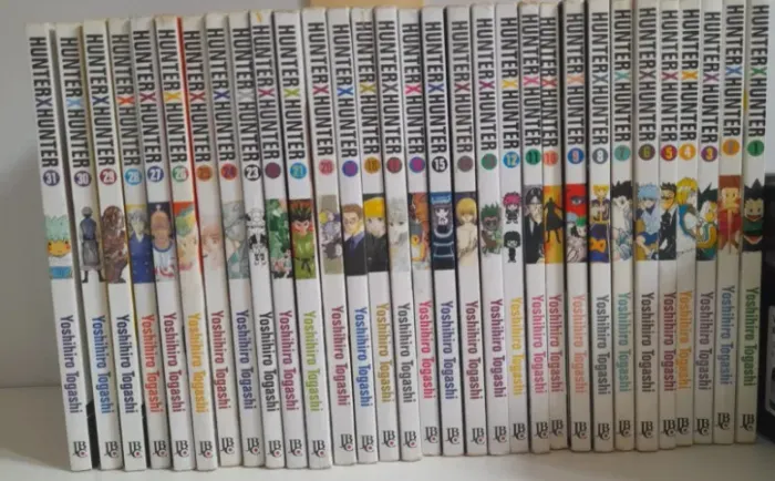 Coleção Mangá Hunter x Hunter (Vols 1~31) - Editora JBC (NÃO VENDO AVULSO!)