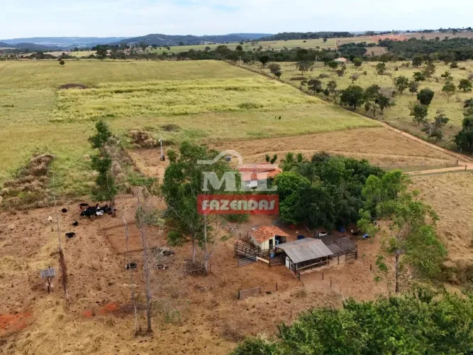 Chácara 1.19 alqueires 5,8 hectares (58.000 m²) Morrinhos-GO