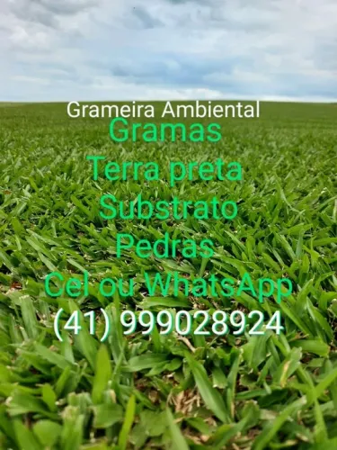 Terra preta gramas