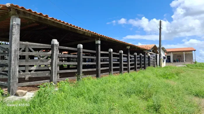  Linda fazenda de 120t, com sede, curral, água canalizada de rio afluente  paraguaçú