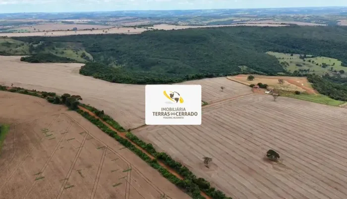 EXCLUSIVIDADE: Fazenda Boutique de Café - 40ha a 1.000m de Altitude e Luxo Total!