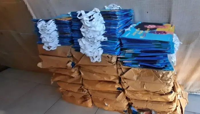 Sacolas de papel já personalizadas conforme fotos são Mil sacolas pronto para uso