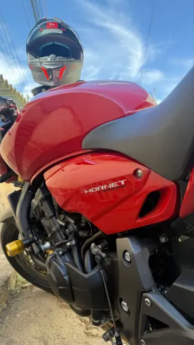 Hornet 600