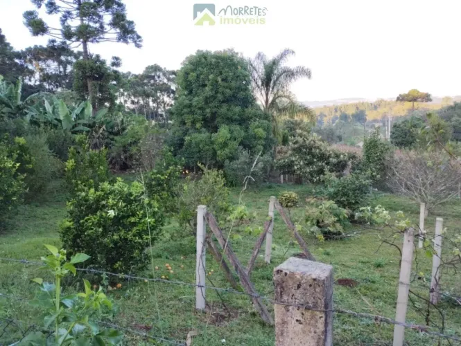 Terreno / Lote