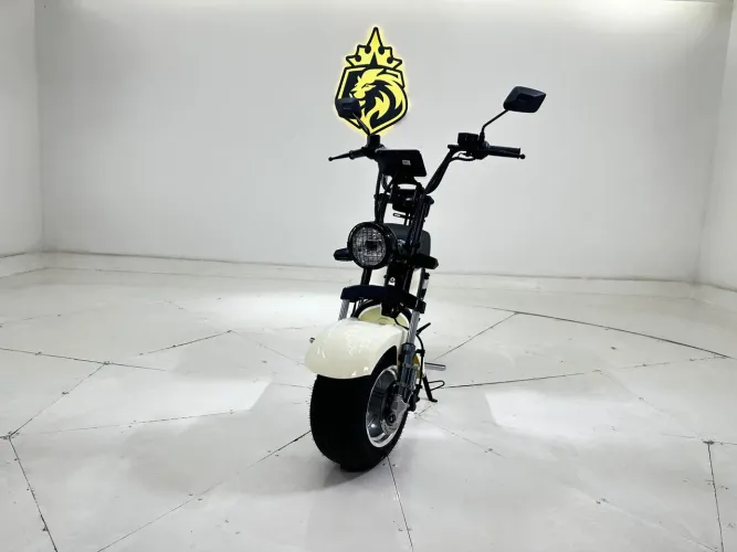 SCOOTER ELÉTRICA
