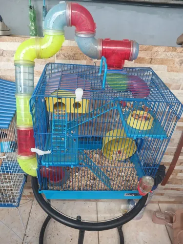 Gaiola com ramester