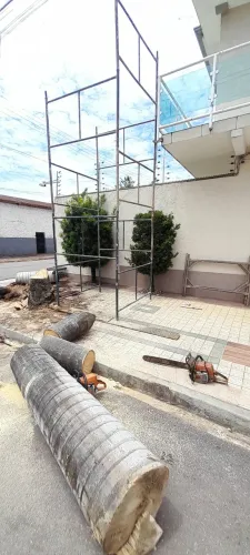 Corte e poldas remoção de árvores