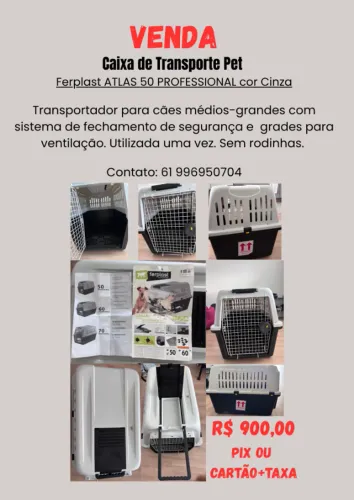 Caixa de Transporte para Pet Médio/Grande