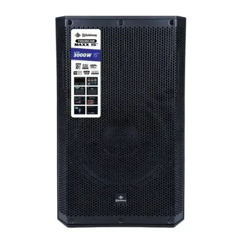 CAIXA WALDMAN AMPLIFICADA ATIVA 15 TC-3000 MAXX