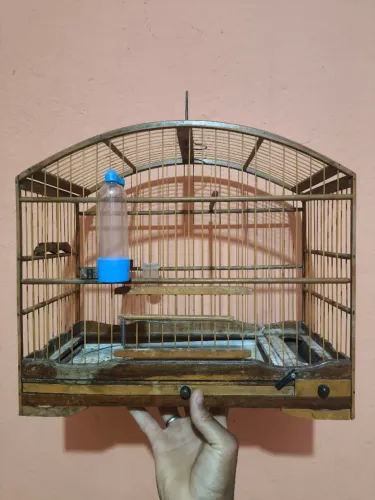 Gaiola de coleira