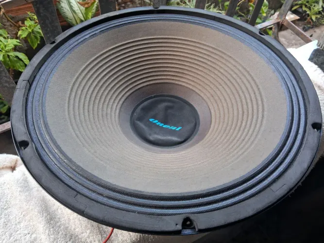 PAR DE ALTO FALANTE 15"