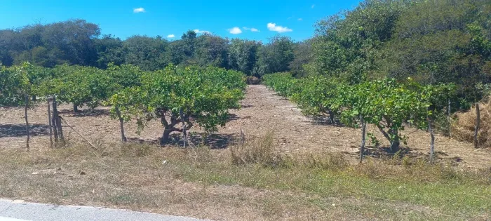 Terreno em lagoa de dentro beberibe