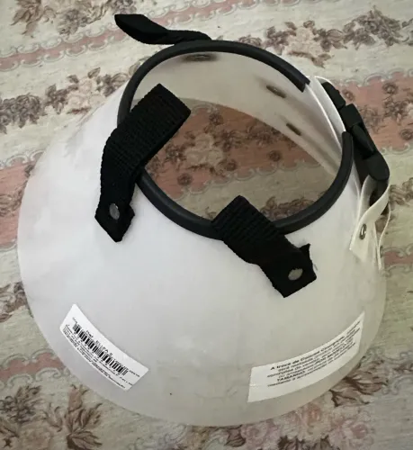 Cone para colocar no pescoço para cachorro e gato após cirurgia
