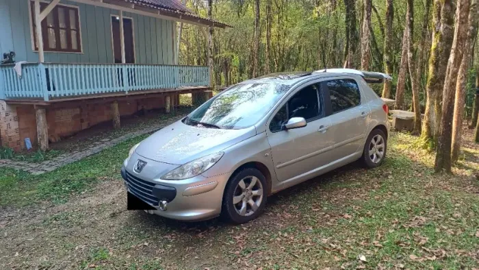 Peugeot 307 Soleil/ Presence 1.6/1.6 Flex 16V 5P 2009