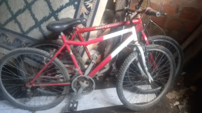 Bicicleta adulto