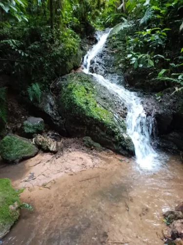 Lindo sítio de 2 Hectares com escritura pública, apenas 320.000.00