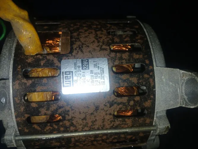 Motor De Maquina De Lavar WEG 1/4CV 220v