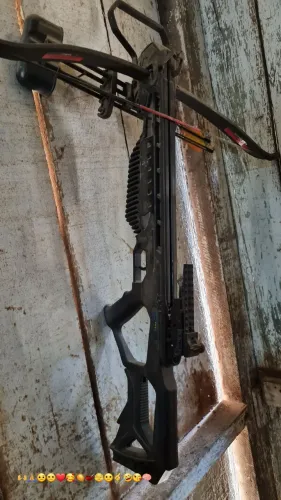 Vendo Besta com 2 flexas e acessórios 