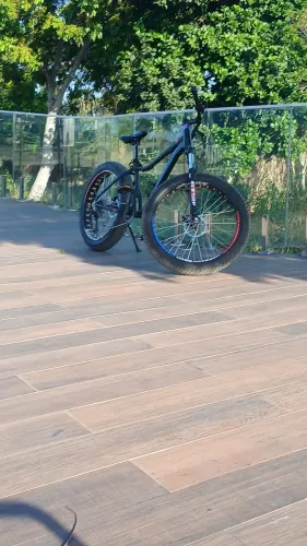 Fat Bike