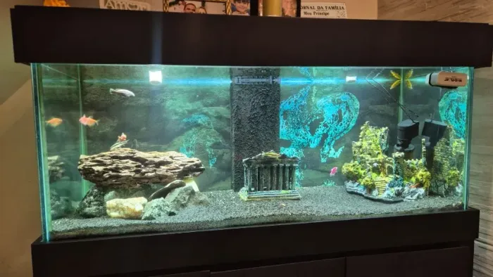Aquário automatizado de 430 Litros.