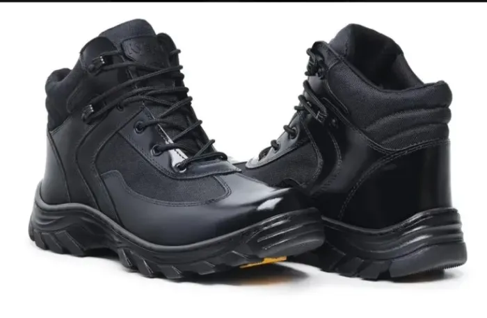 Bota
