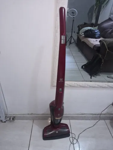 Aspirador vertical
