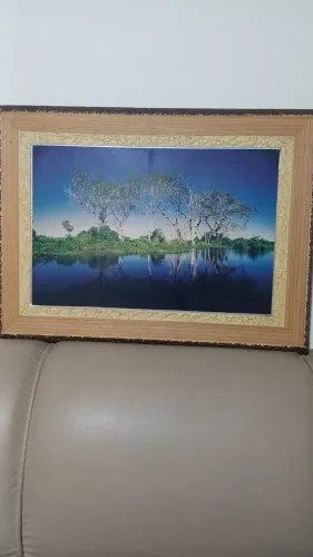 Quadros