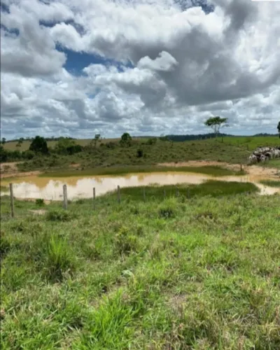 FAZENDA COMERCIAL em MUNDO NOVO - BA, MUNDO NOVO