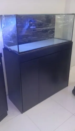 Aquário novo no plástico com Garantia 