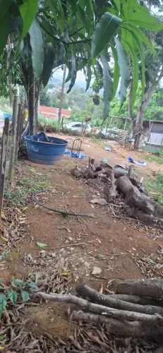 Lote em Cariacica Sede