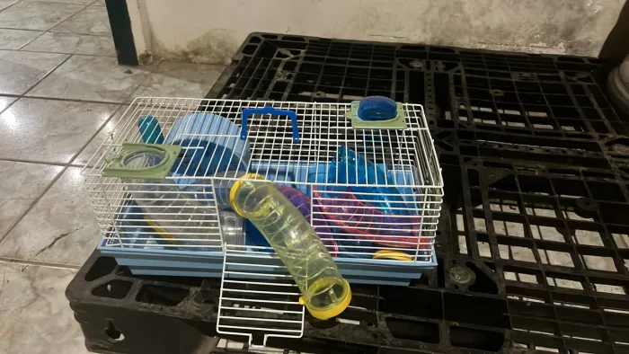 Gaiola para hanistr