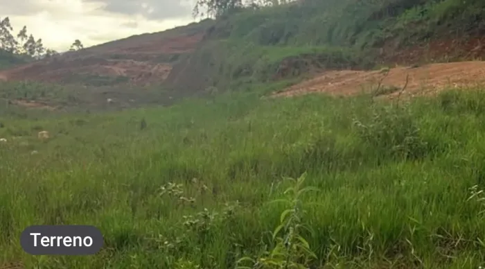 TERRENO em LOTEAMENTO em CANELINHA / SC 