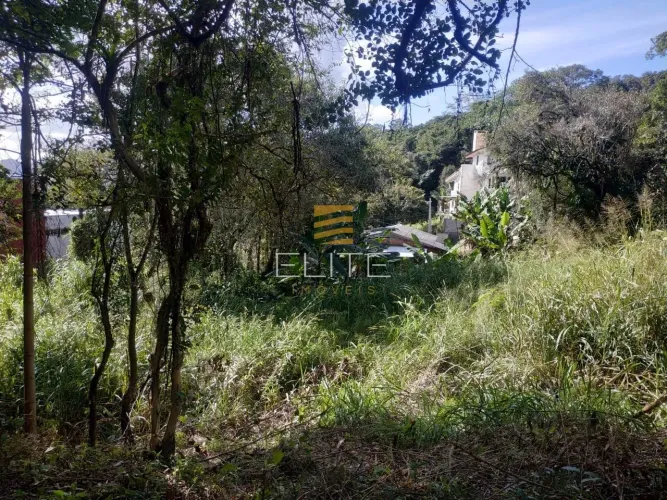 Amplo terreno em excelente localização com vista para o mar. Pantanal, Florianópolis.