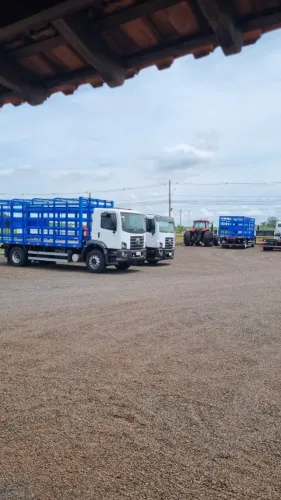 GAIOLA CARROCERIA DE GAS FACCHINI 2022