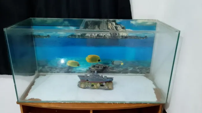 Aquário 200 litros 