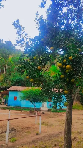 SÍTIO EM NANUQUE-MG | 27.900M² | 3 NASCENTES, 3 CASAS E PISCICULTURA |ACEITO CATIRA, TROCO