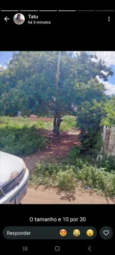 Terreno