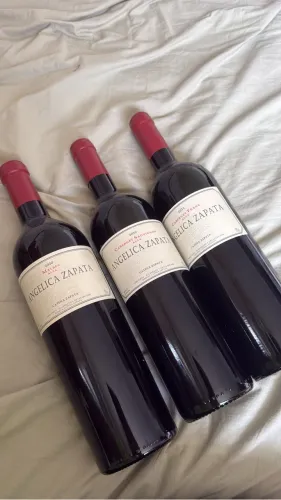 Angelica Zapata Malbec Alta