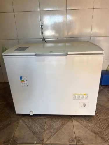 Freezes electrolux 314 litros