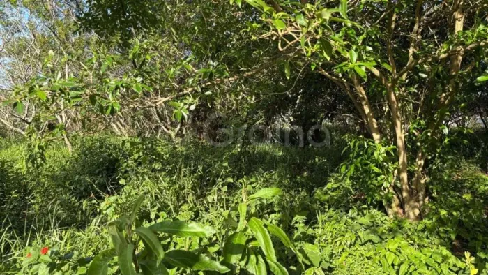 Terreno para Venda em Florianópolis, Pântano do Sul