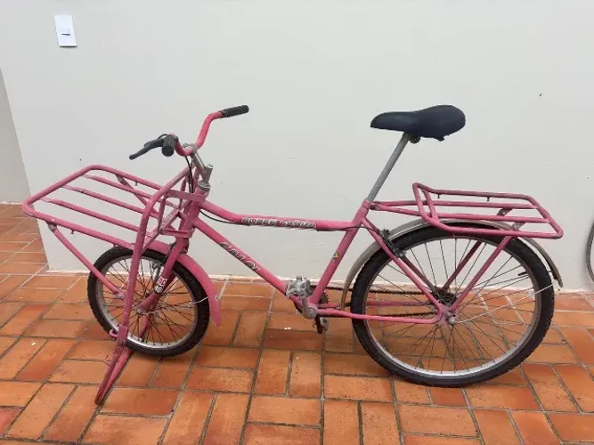 Bicicleta cargueira 