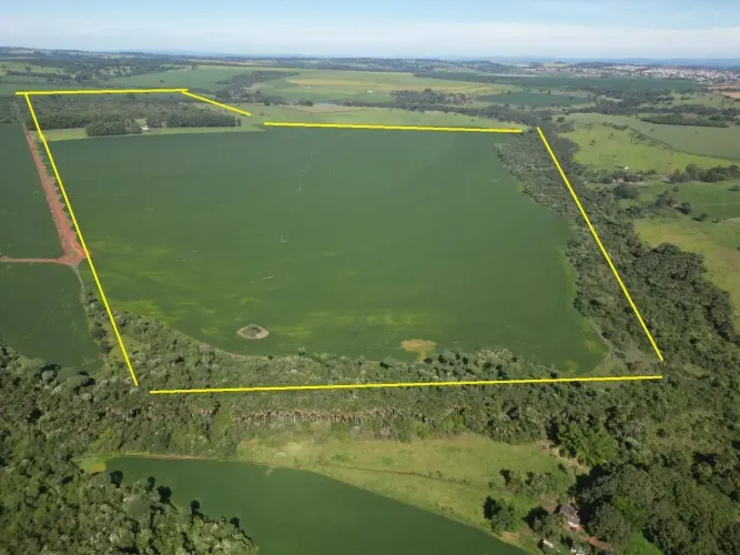 Fazenda com 30 alqueires zona rual em Piracanjuba - GO