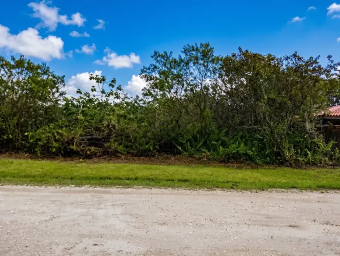 Terreno/Lote à Venda com 1000m² por R$ 235.000