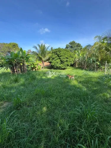 Terreno à Venda com 2.200 m² em Jabaraí Guarapari ES com Lagoa, Árvores Frutíferas e Excel