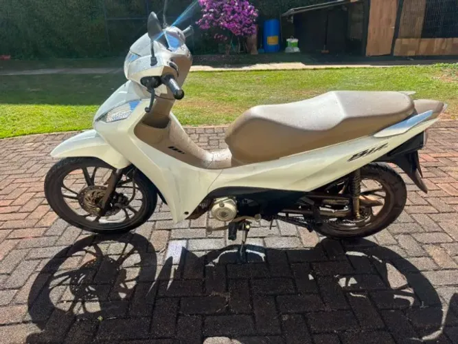 Biz EX 2025 flex