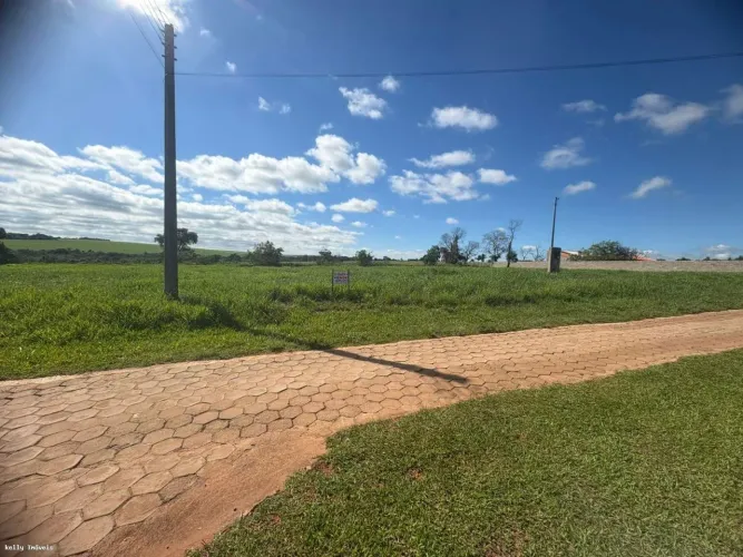 Terreno para Venda em Martinópolis, Portal das Palmeiras