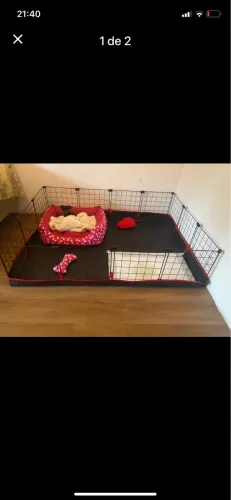 Cercado para animal pequeno