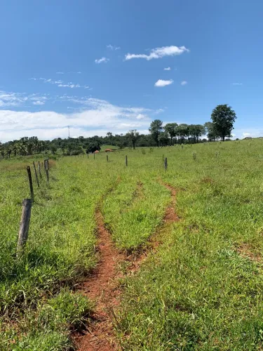 Fazenda dupla aptidão próximo Uberlândia