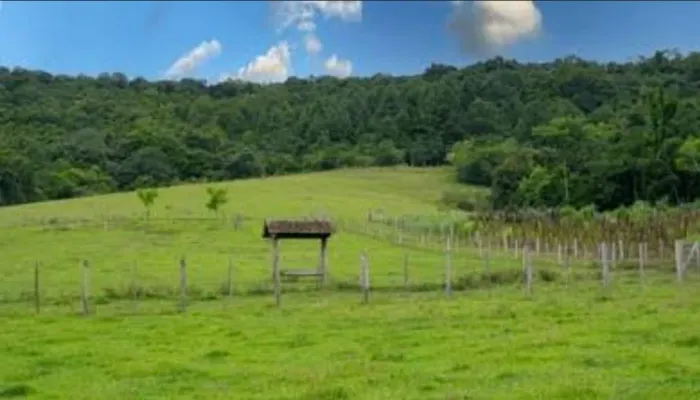 Vendo Fazenda