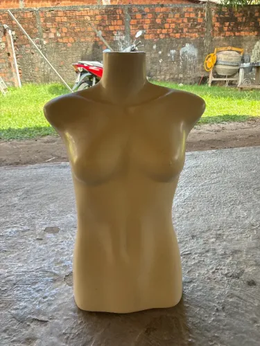 Manequins Busto (10 unidades)